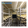 Conteneur de champignons Vertical agriculture Greenhouse